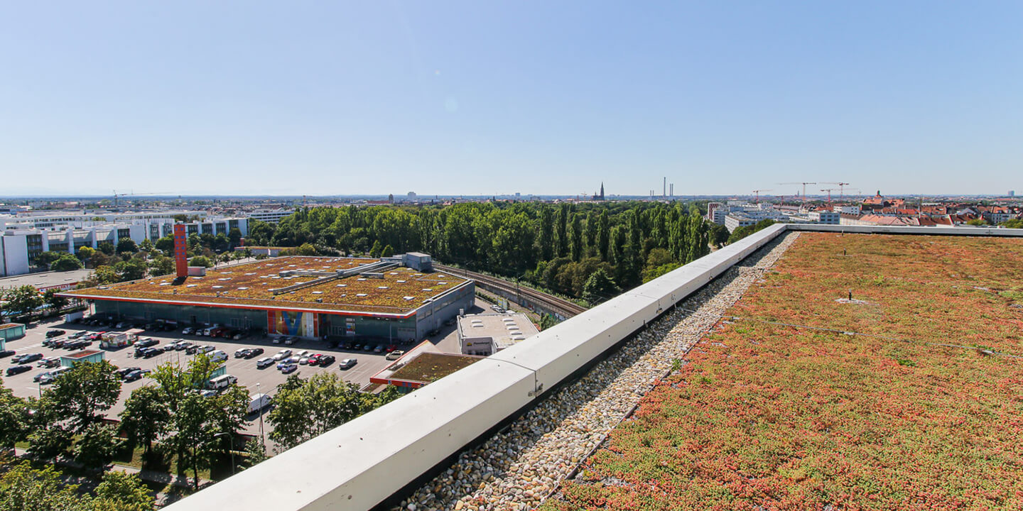 Dachbegrünung auf dem Kustermann-Park-Komplex – Sanierung und Planung durch CSMM-Architekten