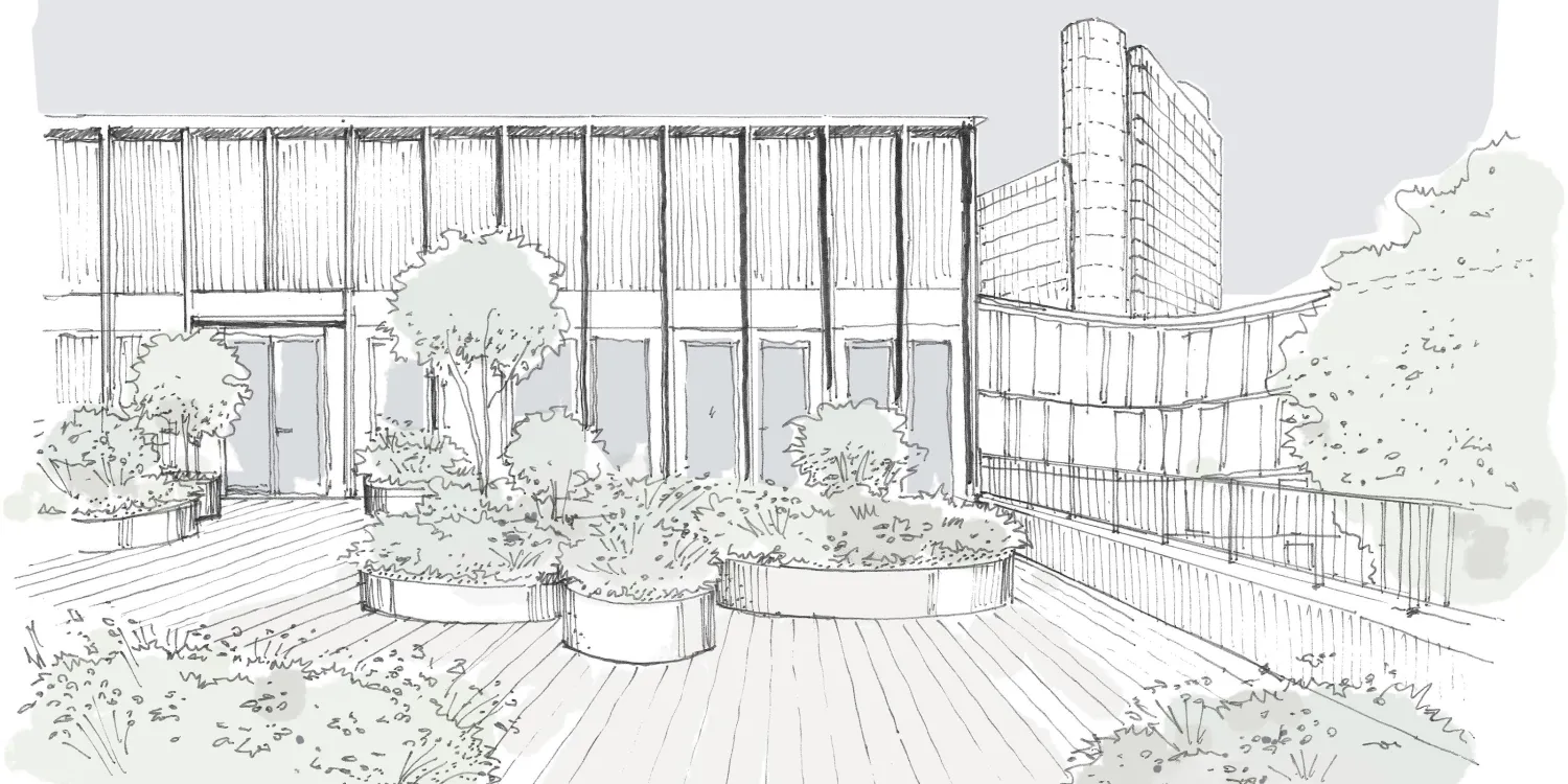 VIWA Handgezeichnete Skizze einer begrünten Dachterrasse mit Hochbeeten, Holzdeck und umliegender Architektur.