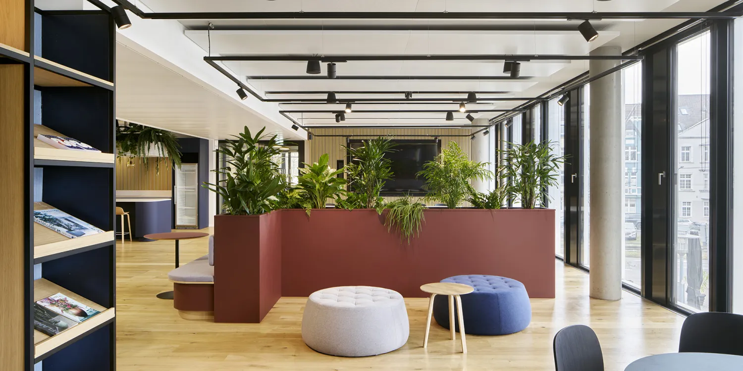 DLL München – Offene Bürofläche mit ergonomischen Arbeitsplätzen, Farbakzenten und grünen Inseln.