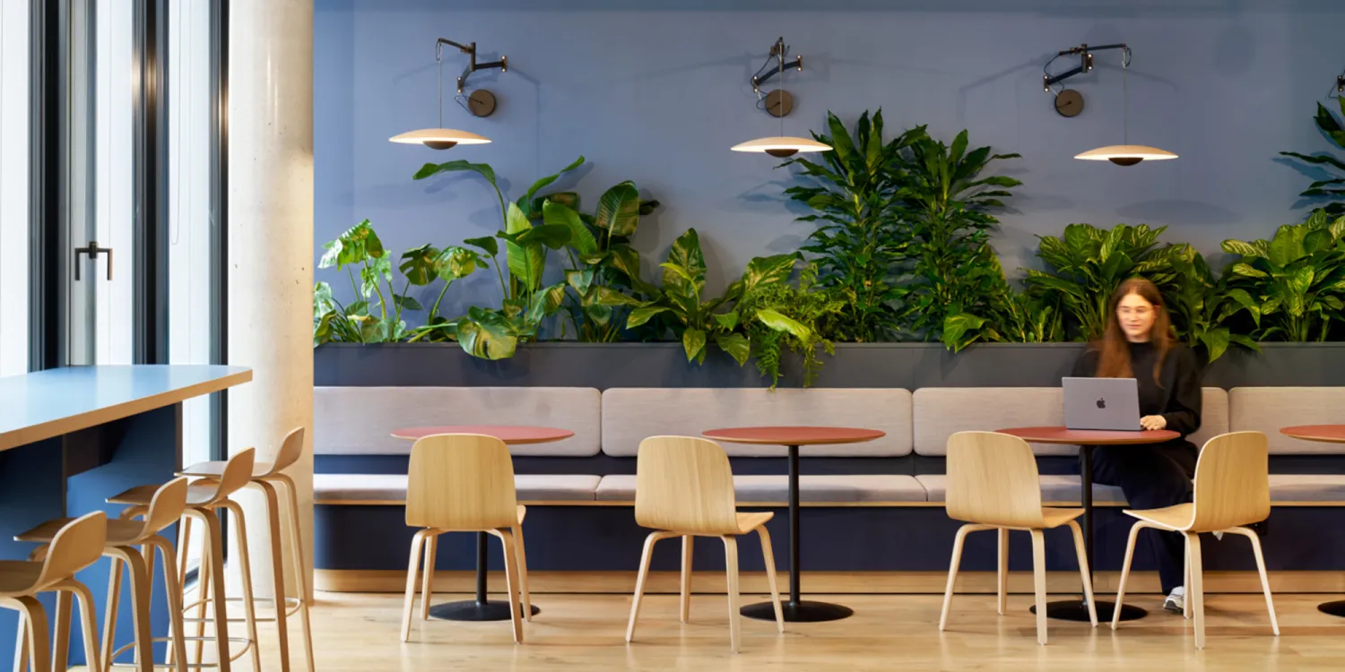 DLL München – Cafeteria mit Pflanzenwand, Holzstühlen und ruhiger Arbeitsatmosphäre.