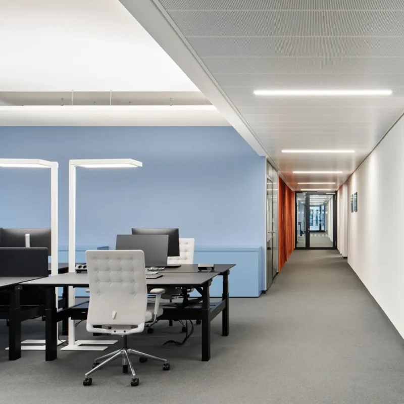 Modernes Büro mit schwarzen Schreibtischen, weißen Stühlen, blauer Wand, LED-Beleuchtung und Glasflur.