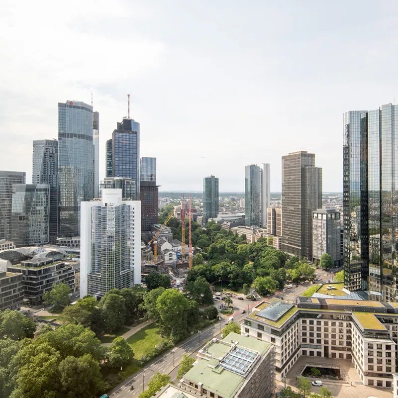 Ashurst: Skyline von Frankfurt mit hohen Bürogebäuden