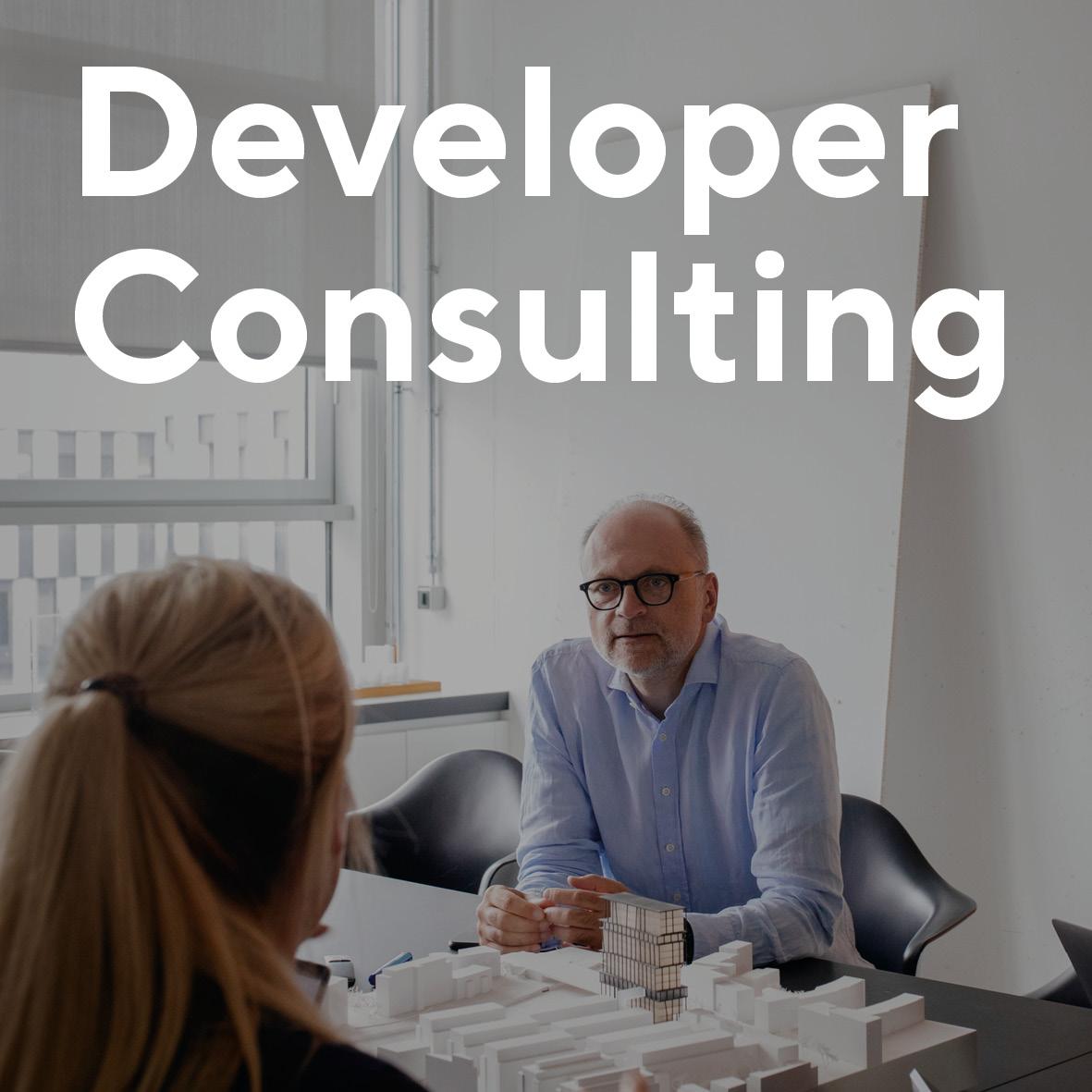 Developer Consulting