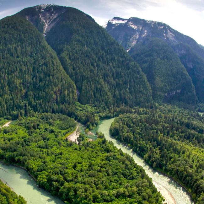 CSMM-Architekten übernehmen seit fünf Jahren Waldpatenschaften im Toba Tal in Kanada